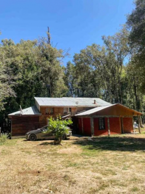 Cabaña grande con parcela en bosque